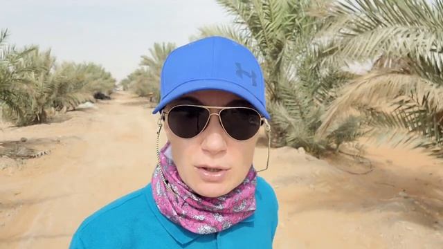 БИЗНЕС В ПУСТЫНЕ, НИЧЕГО ЛИШНЕГО,НОВАЯ ФЕРМА СУНИЛА,ВТОРАЯ И ТРЕТЬЯ смотреть онлайн