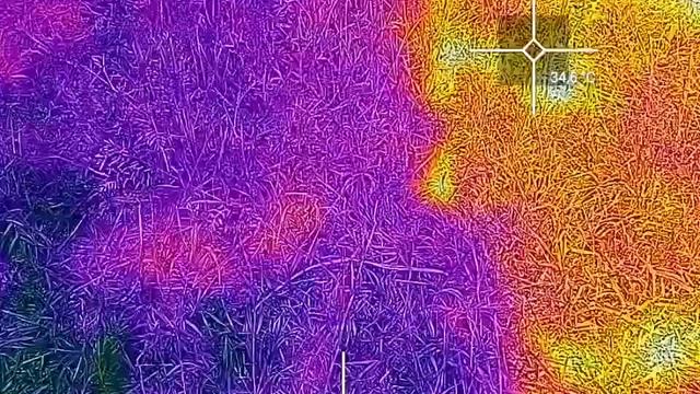 Затеняющая сетка Aluminet в действии (замеры тепловизором) смотреть онлайн