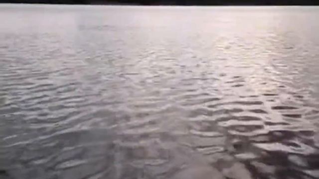 ловим леща на кукурузу смотреть онлайн