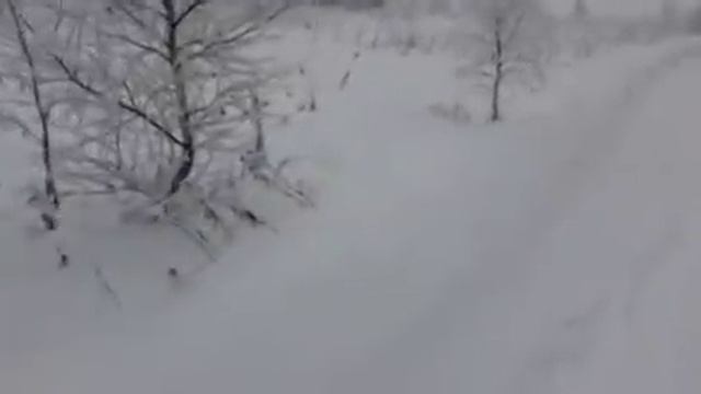 Жизнь в деревне зимой.Прогулка с собакой. смотреть онлайн