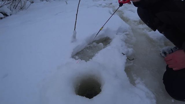 УРА.ЭТО ТОЧНО ТРОФЕЙ.ТАКИХ Я ЕЩЁ НЕ ЛОВИЛ.ЗИМНЯЯ РЫБАЛКА НА РЕКЕ. смотреть онлайн