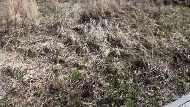 Устройство дорожек -Мощение брусчаткой - Зима прошла смотрим что стало. смотреть онлайн