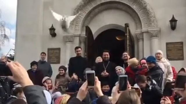 Двунадесятый праздник Благовещения Пресвятой Богородицы и традиционный выпуск голубей. 2019 смотреть онлайн
