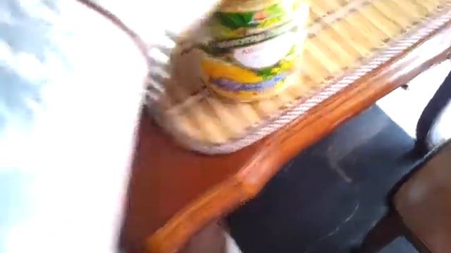 basenji (Басенджи) мы любим ананасы..mp4 смотреть онлайн