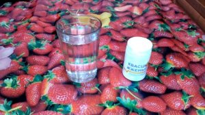 Как быстро вылечить стоматит во рту.