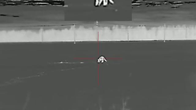 лиса 22lr смотреть онлайн