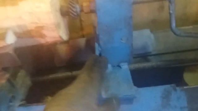 Токарка Африканского БаоБаба на самодельном станке. смотреть онлайн