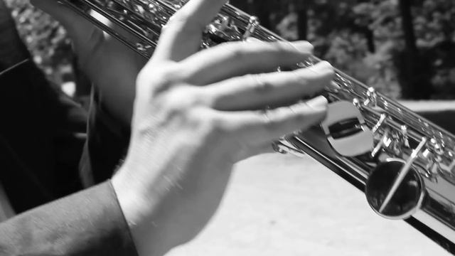Duo Aliada (Bogdan Laketic, Michal Knot) accordion and saxophone смотреть онлайн
