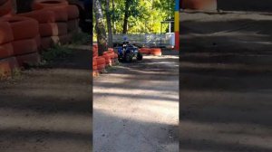 мистер бист мистер бист