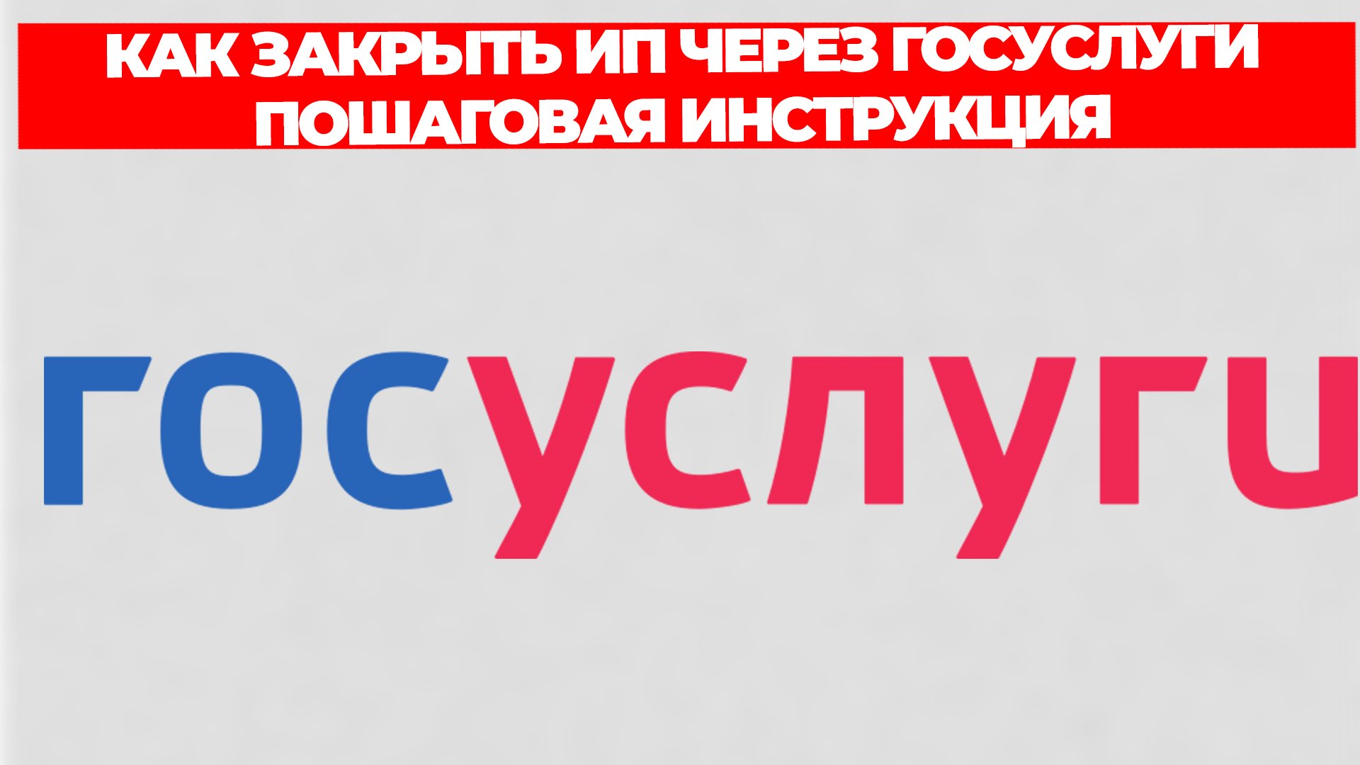 Всезнающий Енот