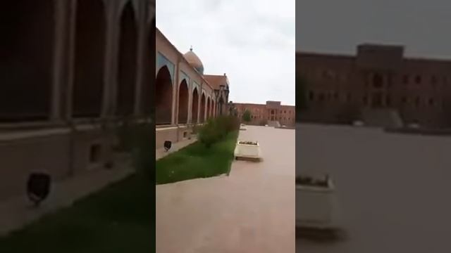 GENCE IMAM ZADE смотреть онлайн