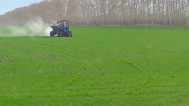 ВОТ ЭТО МЕШКИ!(850 кг) смотреть онлайн