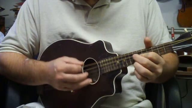 supertone mandolin, beginning to see the light смотреть онлайн