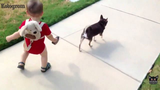 Собаки гуляют с маленькими детьми смотреть онлайн
