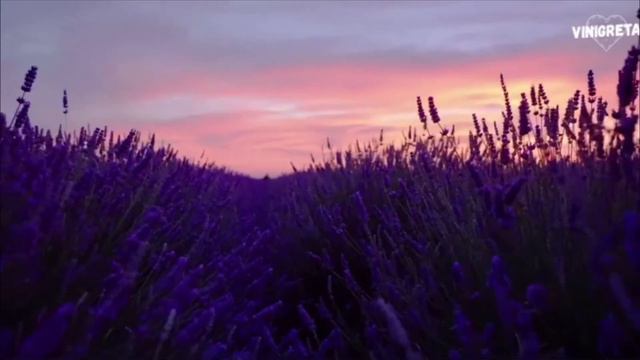 Phil Collins Vs. Syntheticsax - In The Air Tonight (Vintage Culture Remix)