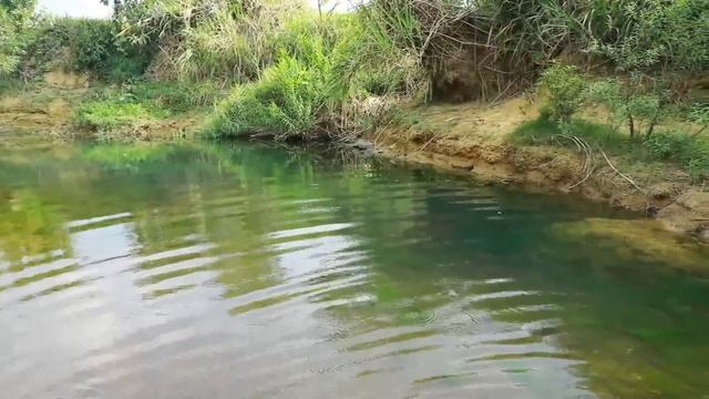 survival in the rainforest - Catch a lot of ducks - cooking end Eating delicious 1 смотреть онлайн