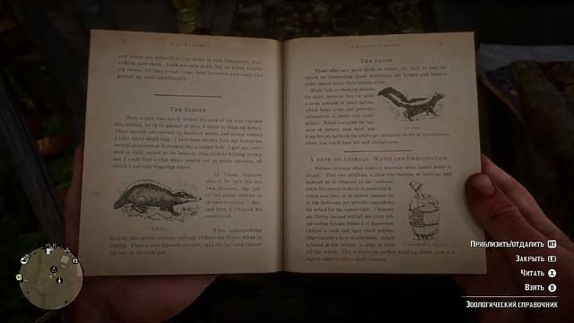 (XBOX ONE S) Red Dead Redemption 2 прохождение часть 9 смотреть онлайн