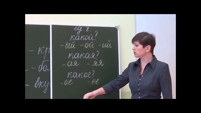 Изменение имён прилагательных по числам. смотреть онлайн
