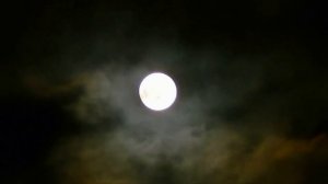 #Анна Пингина  - Ласточка /# Anna Pingina -  Lastochka