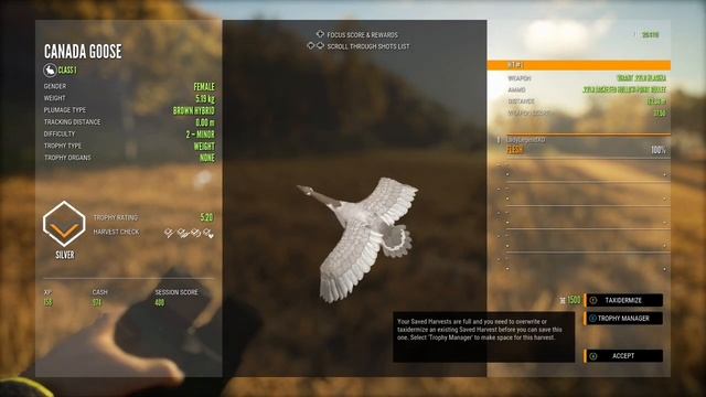 Let’s Hunt GEESE! Canadian Goose Guide - Hunter: Call of the Wild смотреть онлайн