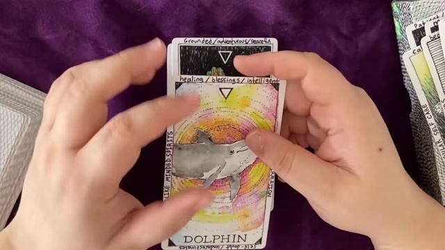 Writing the keywords on the Wild Unknown Animal Spirit Oracle смотреть онлайн