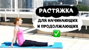 Растяжка для начинающих и продолжающих! / Тренировки дома / Сесть на шпагат / Фитнес дома.