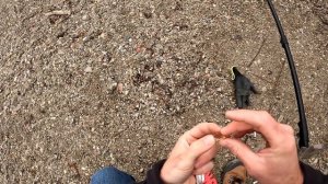 СОБИРАЮ ЗОЛОТО И СЕРЕБРО НА ПЛЯЖЕ! ЭТО НУЖНО ВИДЕТЬ! Пляжный коп с металлоискателем. Поиск монет