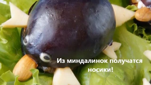 Утконос фото