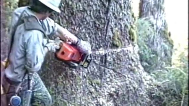 Logging big timber in Alaska смотреть онлайн