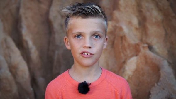 Venomous spiders in Australia: redback spider, huntsman, wolf spider - Serious Biology #6