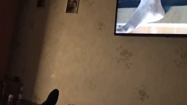 Переселнцы из Бахмута / Опять гуманитарка/Как живем/ смотреть онлайн