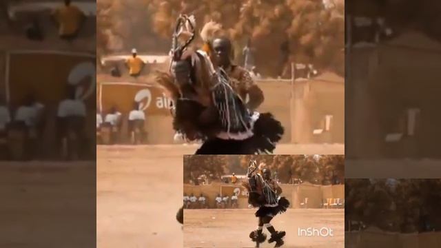 Tarantula & Индеец