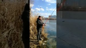 Обзор спиннинга kaida/бюджетный спиннинг для новичка/ Советуем посмотреть его