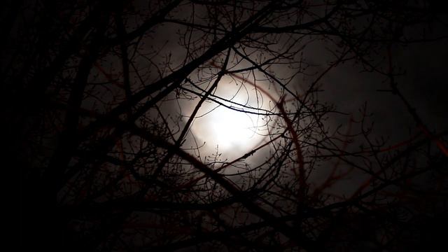 6 Hour Dark Screen Sleep Music | Black Screen Deep Relaxing Music Piano #sleepmusic #blackscreen