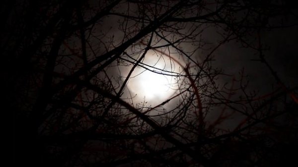 6 Hour Dark Screen Sleep Music | Black Screen Deep Relaxing Music Piano #sleepmusic #blackscreen