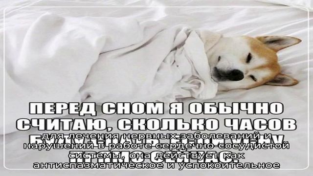 Причины и лечение бессонницы при климаксе смотреть онлайн