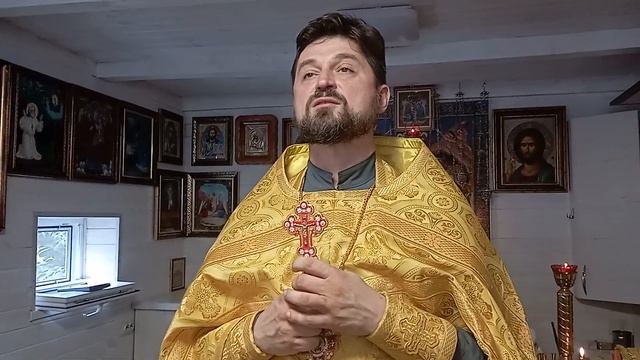 О необходимости духовного руководства. 14.08.22г, прот.Сергий смотреть онлайн