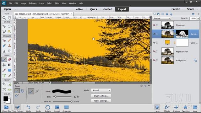 How You Can Use Photoshop Elements to Change Background Behind Tree Photo смотреть онлайн