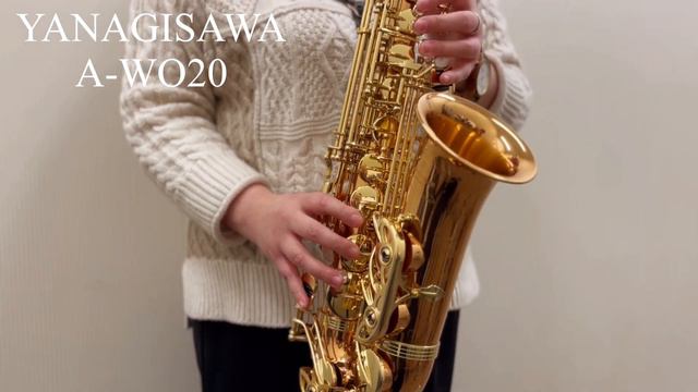 サックス吹き比べ『Over The Rainbow』『宝島』【H.Selmar,YANAGISAWA,Cannonball】 смотреть онлайн