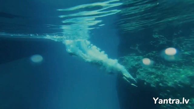 Яркие моменты на Йога ретрите Yantra.lv приглашаю на август, подробнее в описании ? @v_darakova смотреть онлайн