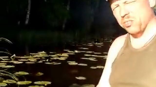 Сомик 10 кг смотреть онлайн