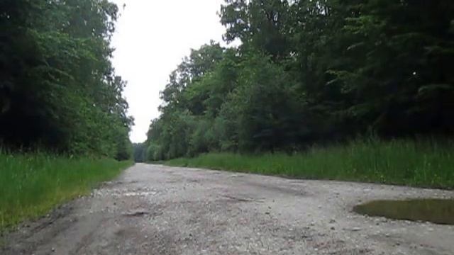 Владимир Набоков. К Музе смотреть онлайн