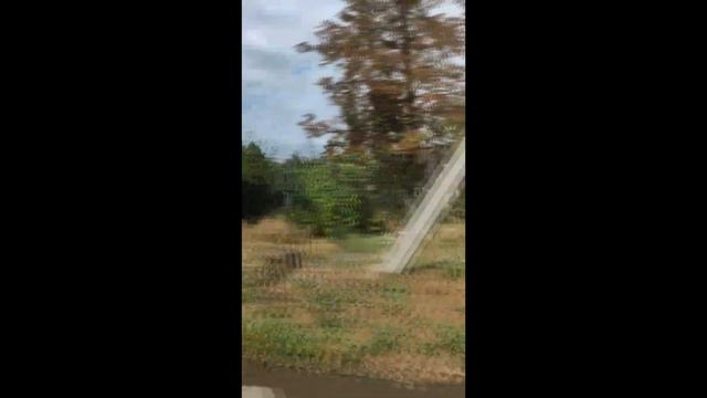 Мариуполь - 19.08.2022 смотреть онлайн