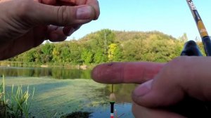 Вечерняя ловля сома на донку с берега