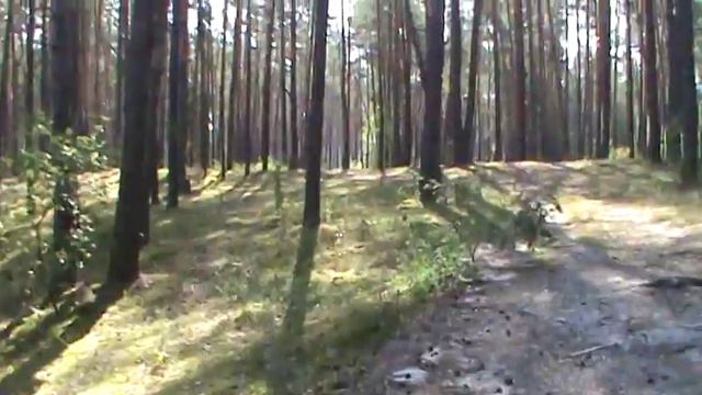 СЛОУТ МОЯ РОДИНА,МОЕ ДЕТСТВО АВГУСТ 2015 смотреть онлайн