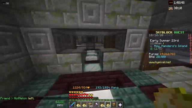 I spent 24 hours farming poisonous potatoes (Hypixel Skyblock Trek to top 1000) смотреть онлайн