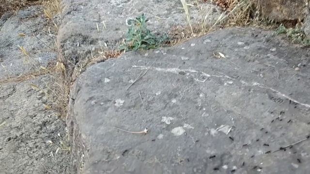 Античный город Сиедра. Часть 1. Руины римского города. Alanya. Seki. Syedra. смотреть онлайн