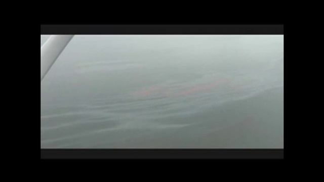 Sea Shepherd At Deepwater Ground Zero. ***Exclusive Footage***