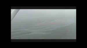 Sea Shepherd at Deepwater Ground Zero. ***Exclusive footage***