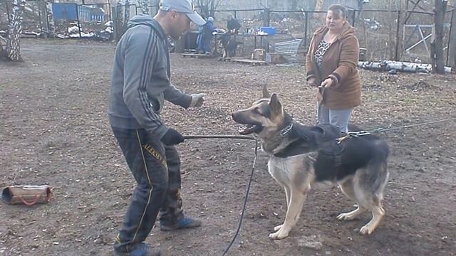ВЕО Бомон Росс Азарт и Борисов Алексей 24.04.2016 смотреть онлайн